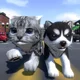 Cute Cat and Dog 3d