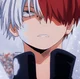 Shoto Todoroki 