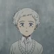 Norman TPN