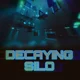 Decaying Silo