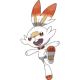 Scorbunny