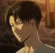 Levi Ackerman 