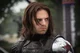 Bucky