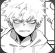 -Katsuki Bakugo-