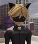 Chat Noir