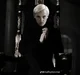 Draco Malfoy 