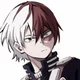 Shoto Todoroki 