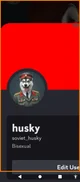 Spy_huskydog