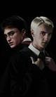 Harry and Draco