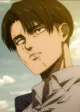 Levi Ackerman 