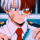 Shoto Todoroki 