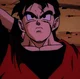 Future Gohan 