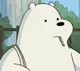 Ice Bear -WBB-