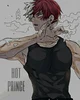 Shoto todoroki