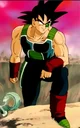 Bardock 