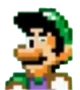 Dumbass Luigi 