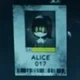 Alice - MD