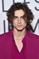 Timothée chalamet