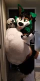 Voracious fursuit 