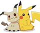 Pikachu and Mimikyu