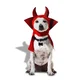 The devils dog