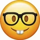 Nerd Boi
