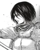 -Mikasa Ackerman
