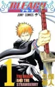Bleach - RP