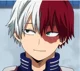 Shoto Todoroki 