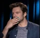 Sebastian stan