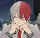 Shoto Todoroki 