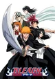 Bleach V3