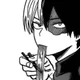 Shoto Todoroki 