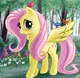 Flutter shy