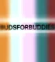 Budsforbuddies fam