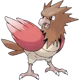 Spearow
