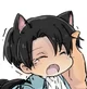 Levi Cat