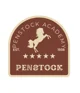 Penstock Academy 