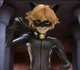 Chat Noir