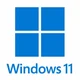 Windows 11