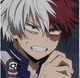 Shoto Todoroki 