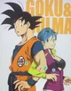 Goku x bulma