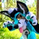 Hekithebluefoxfurry