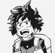 izuku Midoriya 
