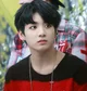 Son Jungkook 