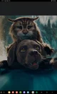 Cat and Dog rp