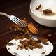 You eat insects