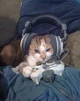 gamer cat