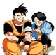 Ft Gohan and Videl