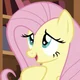 Fluttershy